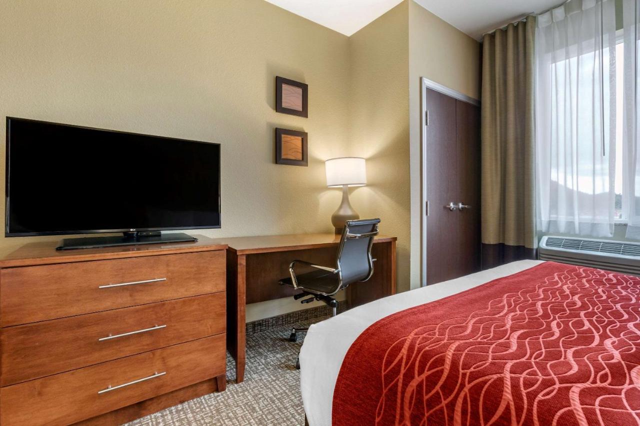 Comfort Inn & Suites Near Mt Rushmore Hill City Esterno foto