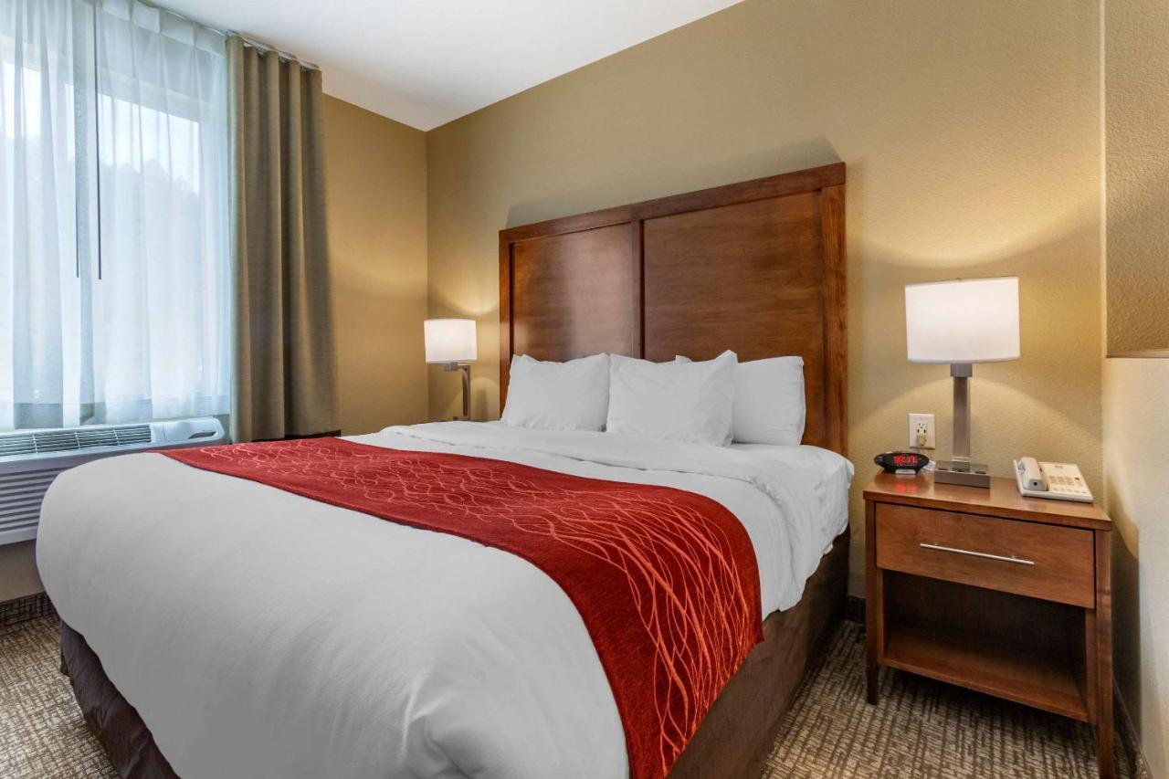 Comfort Inn & Suites Near Mt Rushmore Hill City Esterno foto