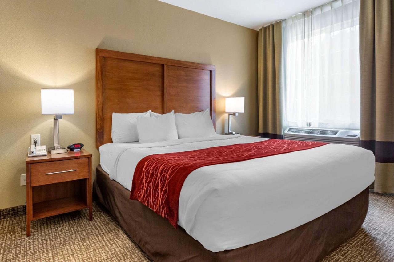 Comfort Inn & Suites Near Mt Rushmore Hill City Esterno foto